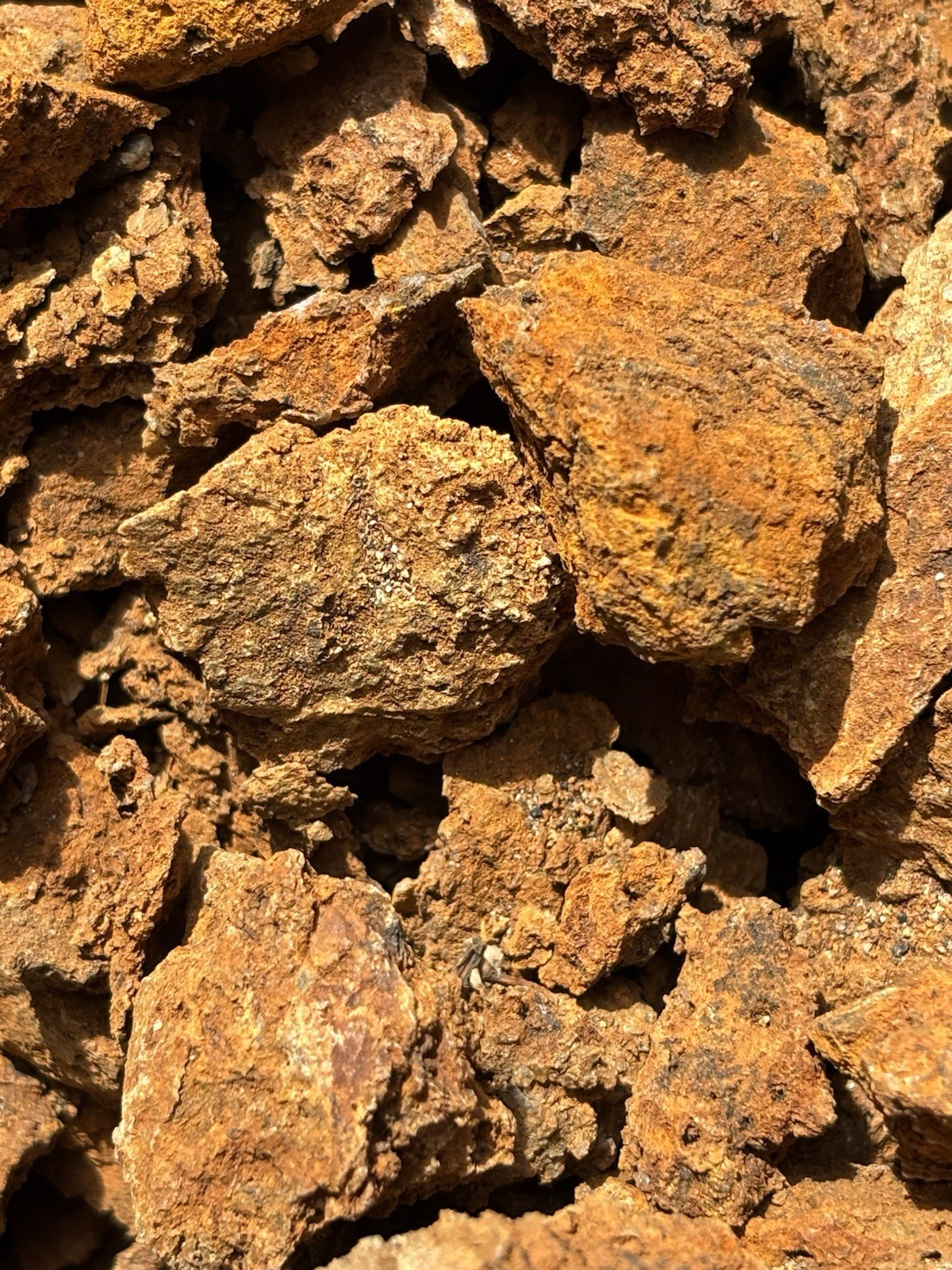 Gossan or iron cap Specimens from Ore deposit Mineral Vein in California.