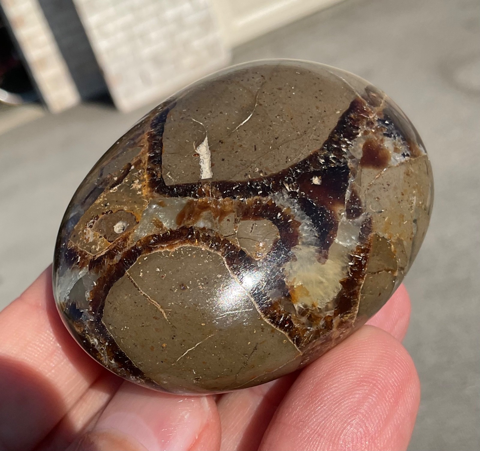 118g Polished Septarian Palmstone Dragon Egg Geode Fossil Worry Stone