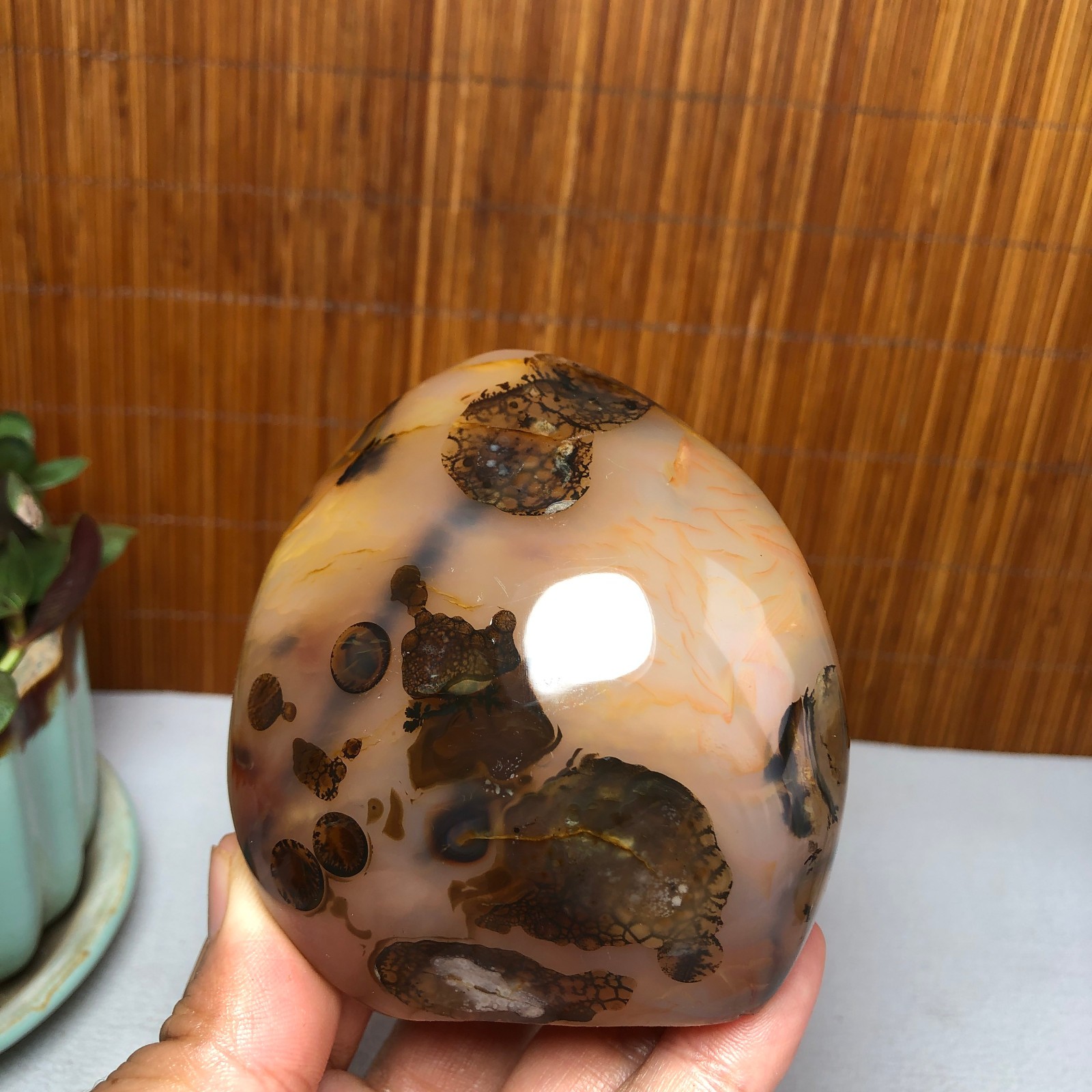 Natural aquatic plants agate pretty Crystal specimens free standing 331g A9998