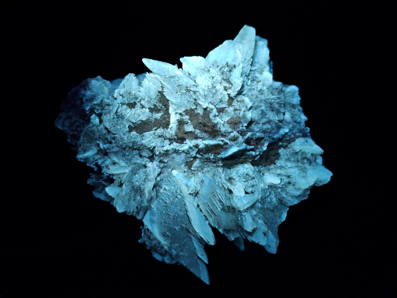 Gypsum crystal, Desert Rose 208 g – a unique Ukrainian sample with fluorescent