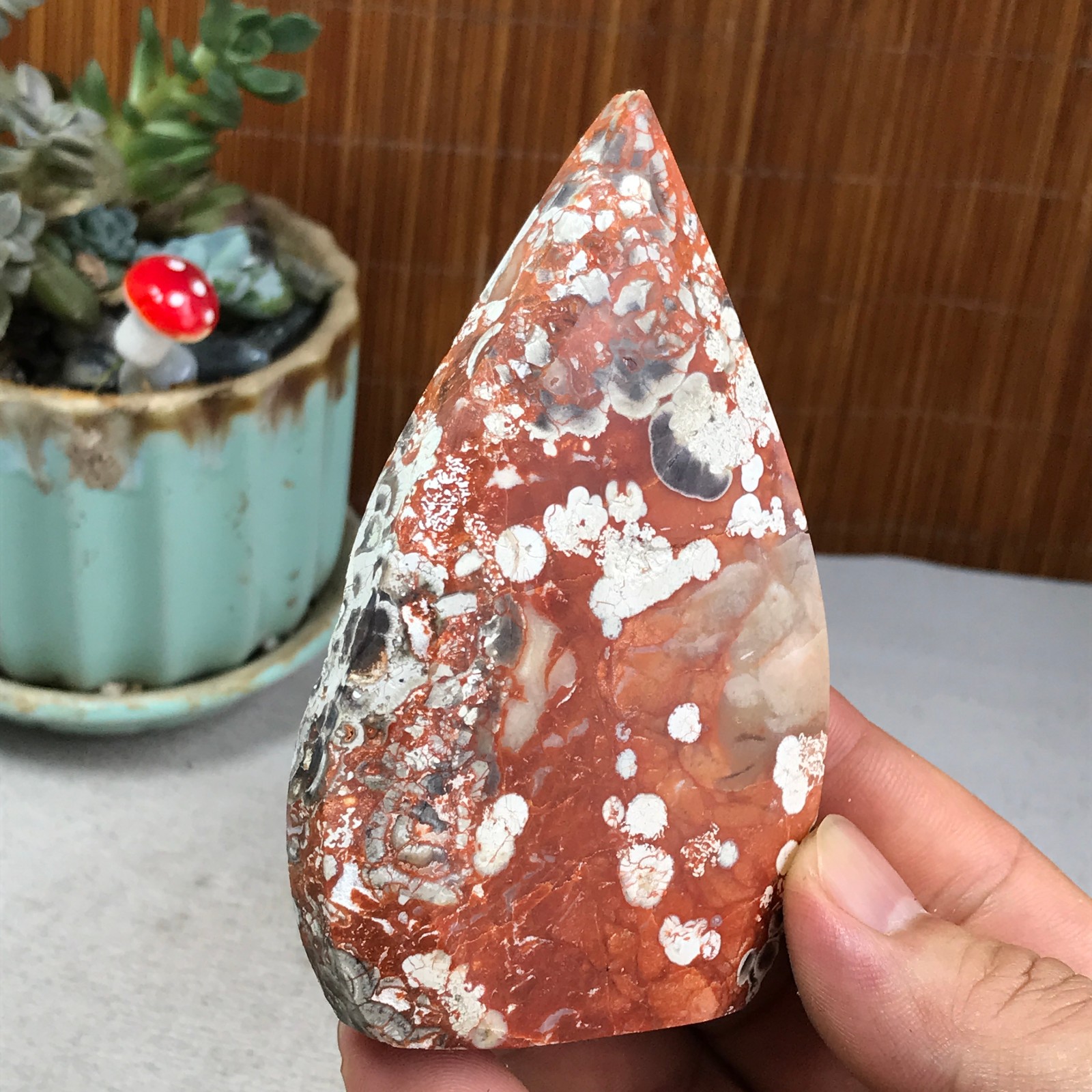 Natural money Mexico agate hand carve leaf Crystal Specimen free standing A6266