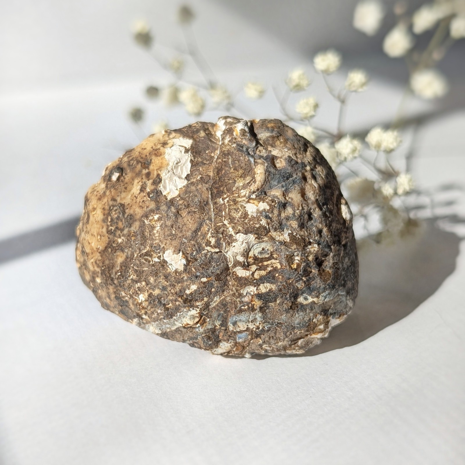 2″ oco agate geode, self-stands, natural quartz druzy geode half, quartz crystal