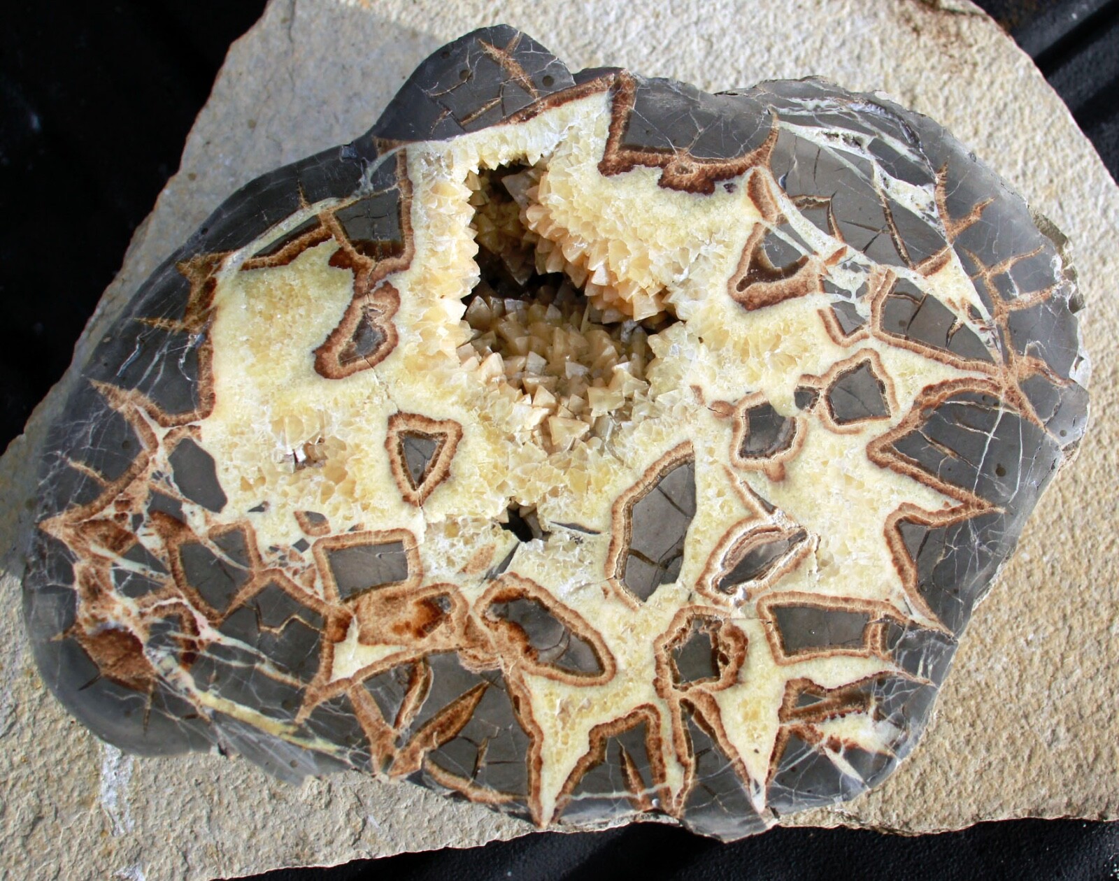 Crystal Filled, Polished Septarian Geode from Utah • 12.1 lbs.