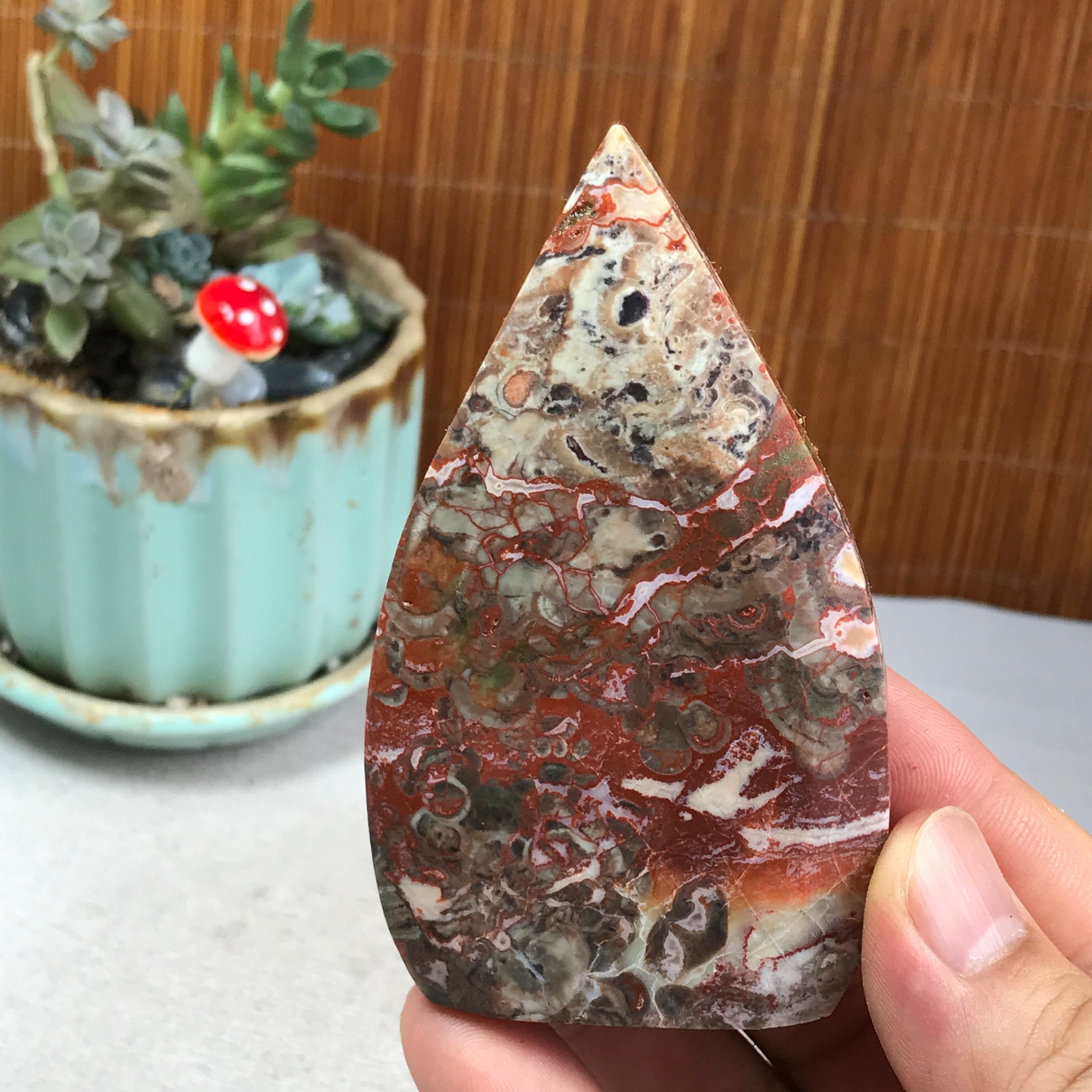 Natural money Mexico agate hand carve leaf Crystal Specimen free standing A6267