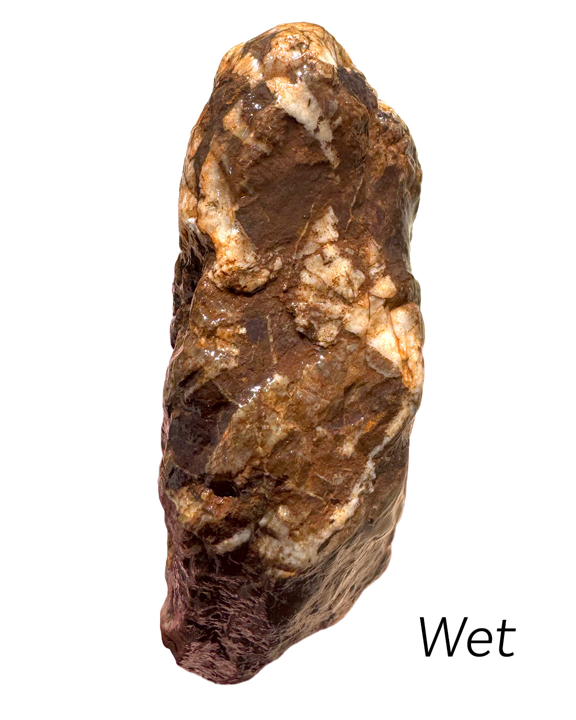 13 oz Brecciated Jasper Rock with Quartz Vein Vivid Iron Color Rough