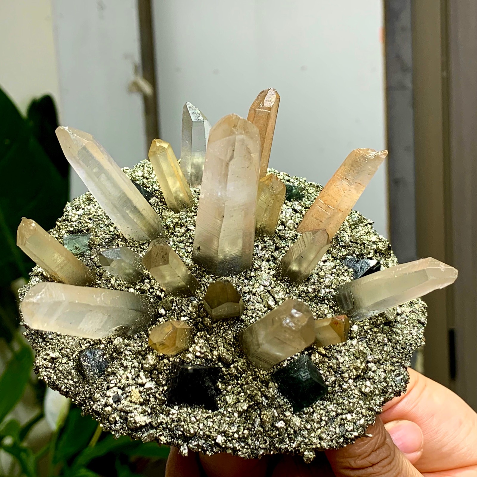 492G Coexistence of natural quartz and pyrite green fluorite crystal clusters