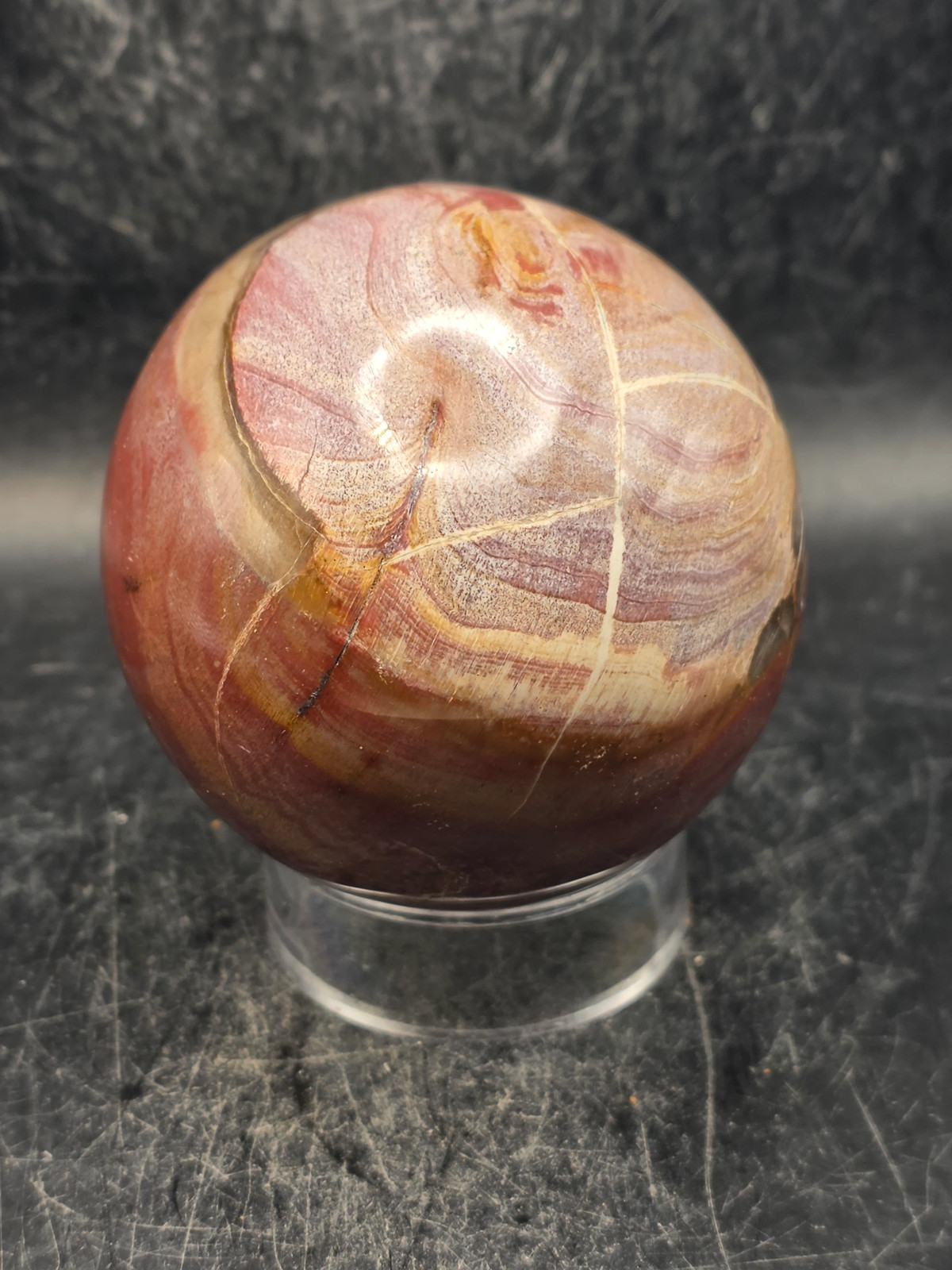 Petrified wood egg! 1.2 pounds, 3.3 inches tall, 2.6 inches wide