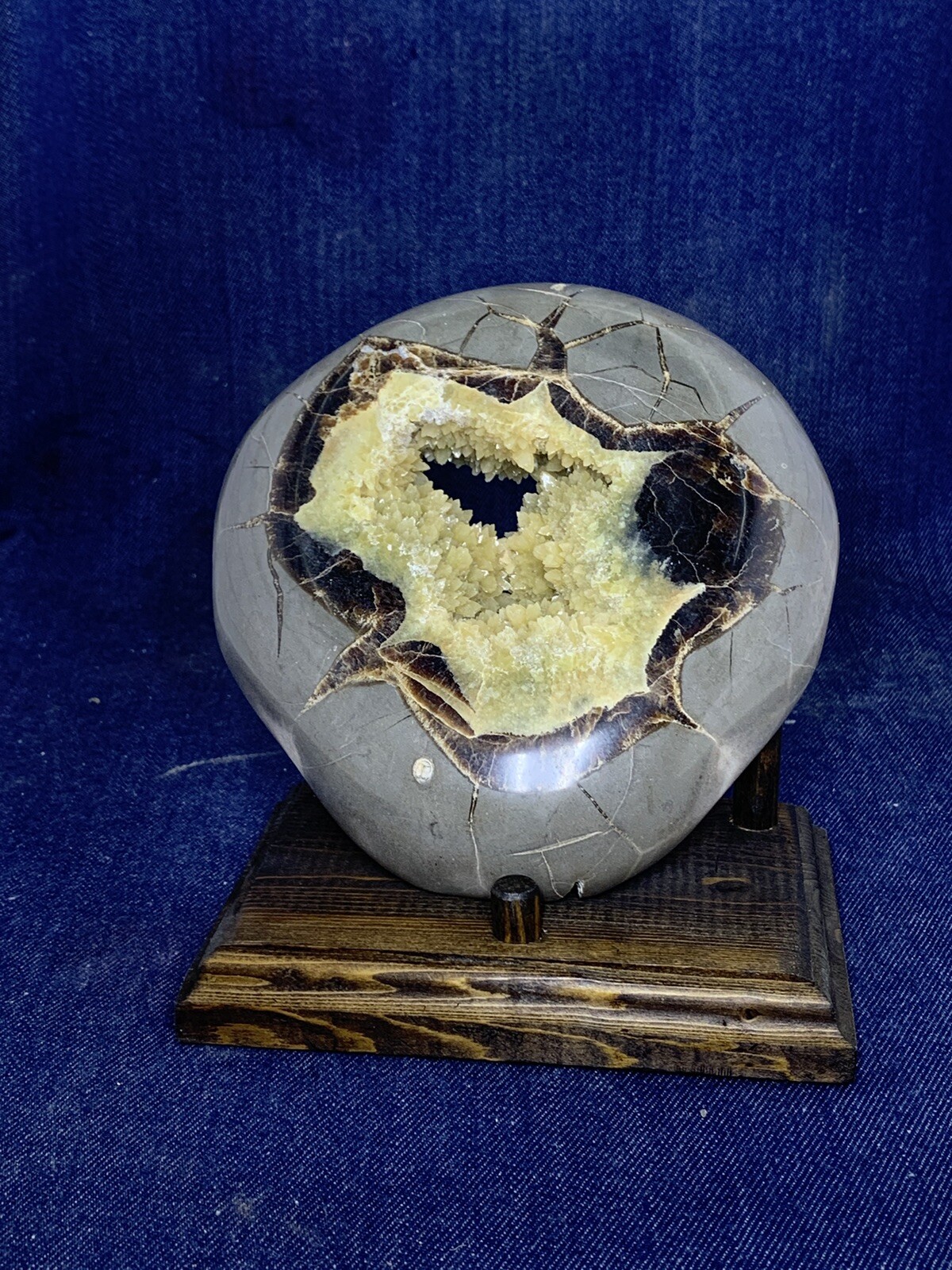 Septarian Nodule Hollow Slab ( Utah)with Stand And Description Card