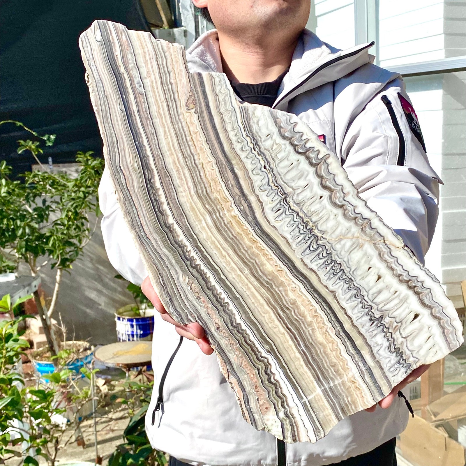 6LB Natural agate, zebra stone, crystal mineral, cut and polished in flakes