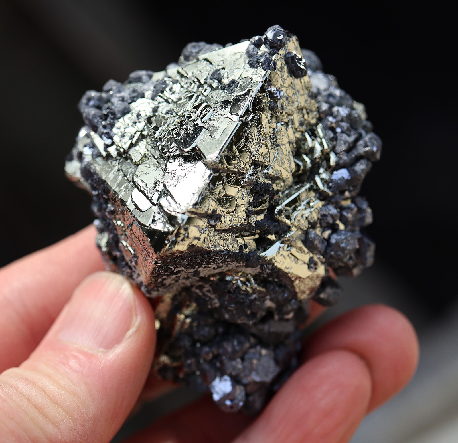 A perfect octahedron of pyrite with galena. No damage Huanzala mine Ancash, Peru