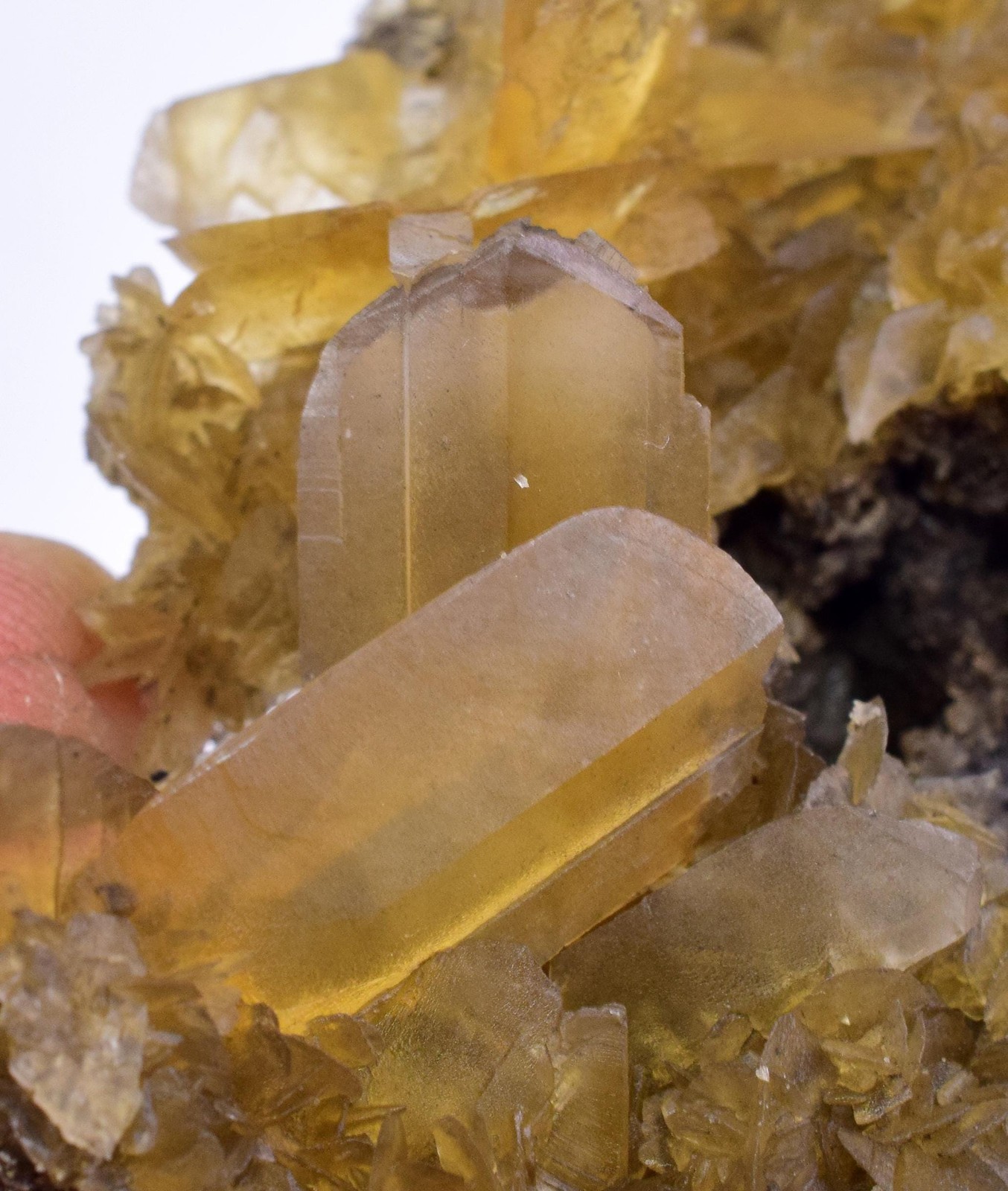 7.1cms GOLDEN SELENITE CRYSTALS Cluster Fish Tail Peru Yellow Gypsum T468