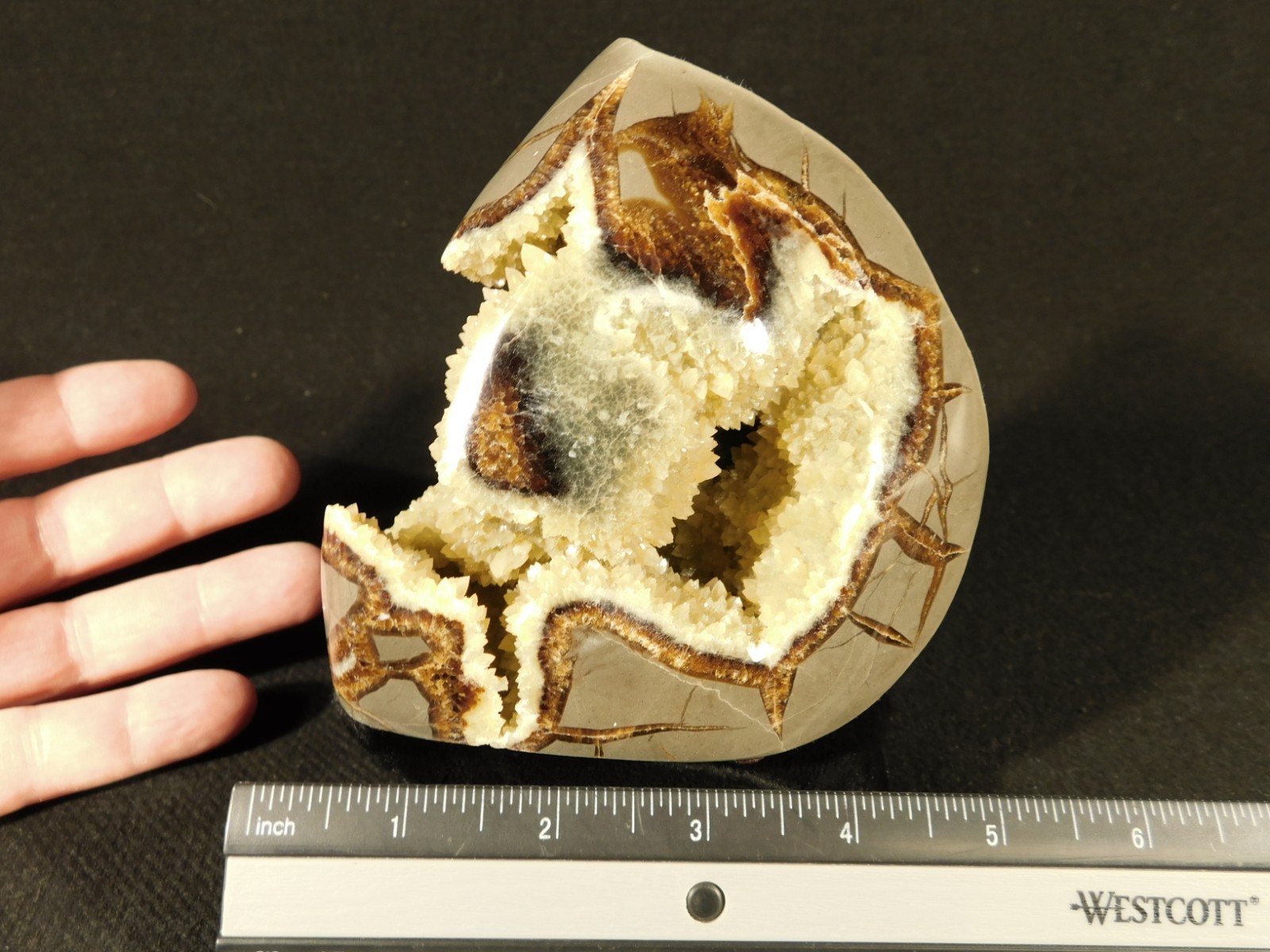 Big Polished AAA Crystal Filled Hollow Septarian GEODE Free Form Utah 1044gr