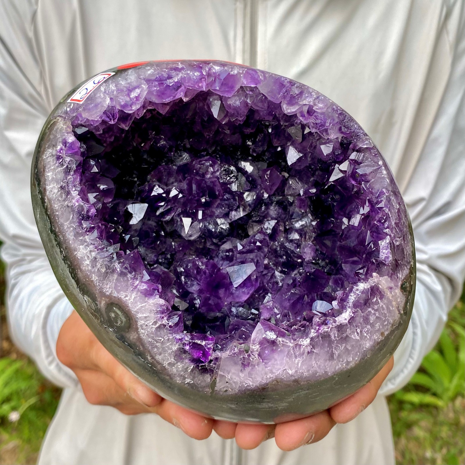 5.7LB Natural amethyst Dinosaur egg Quartz Crystal specimen healing