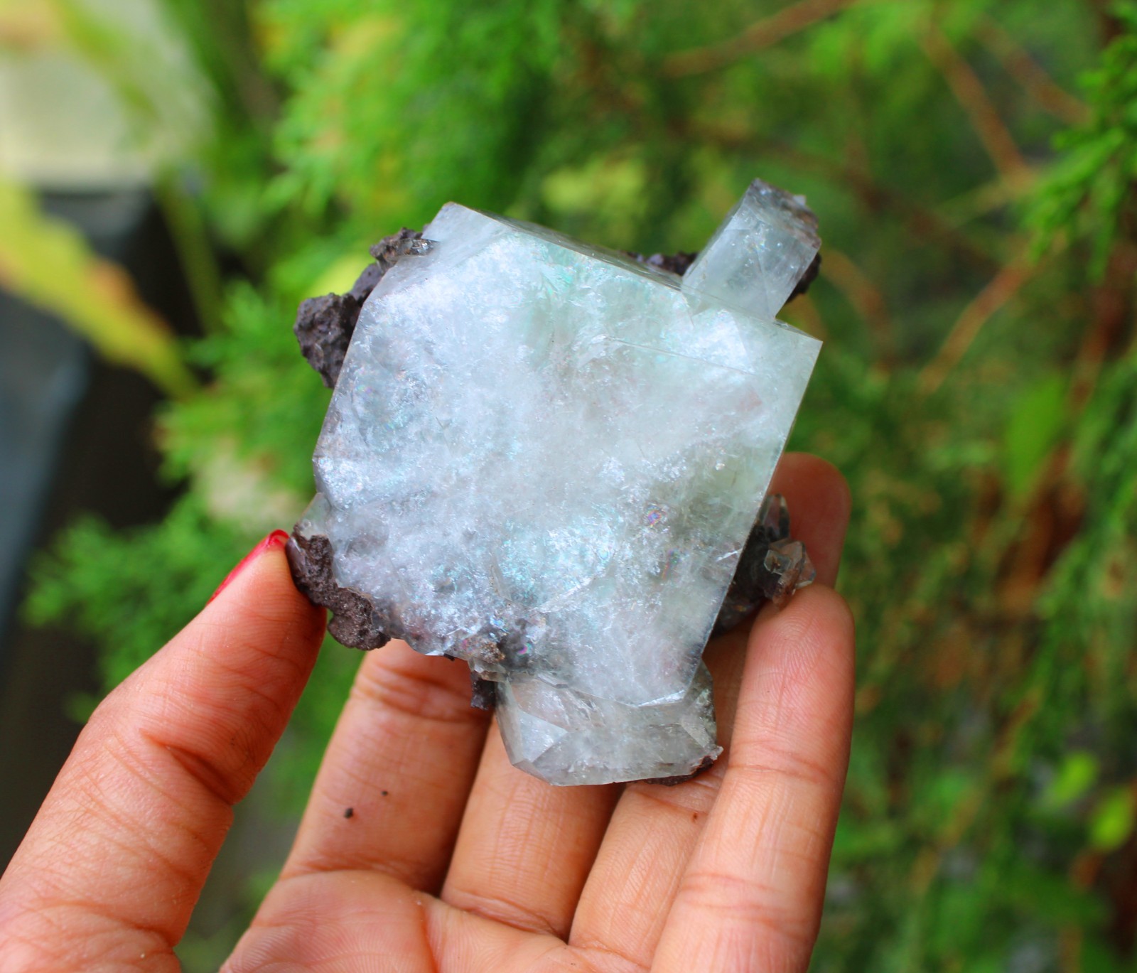 GREEN APOPHYLLITE CRYSTALS MINERALS SPECIMEN