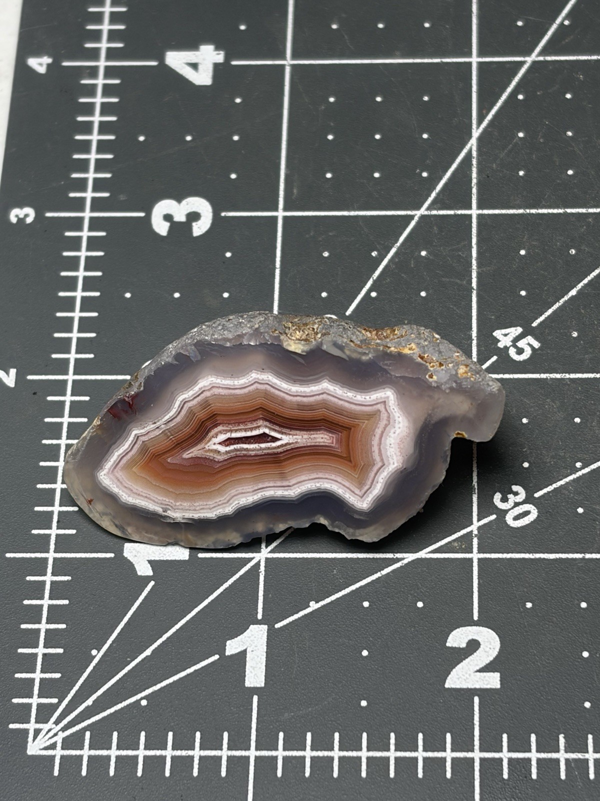 Laguna Agate Excellent Banding Mexico Polished Specimen