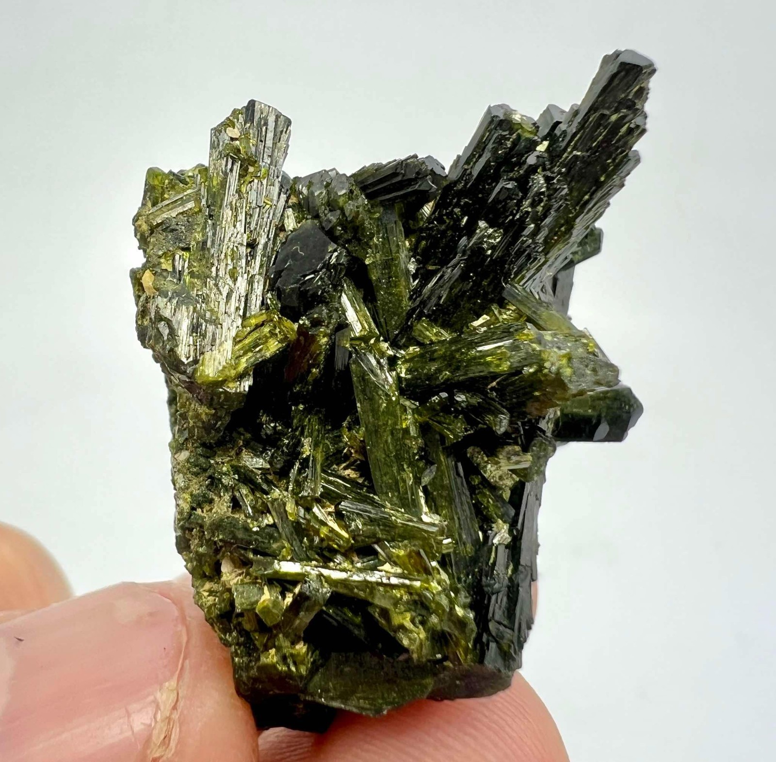123 CT Amazing! Epidote Crystals Bunch Specimen From Skardu Pakistan s42