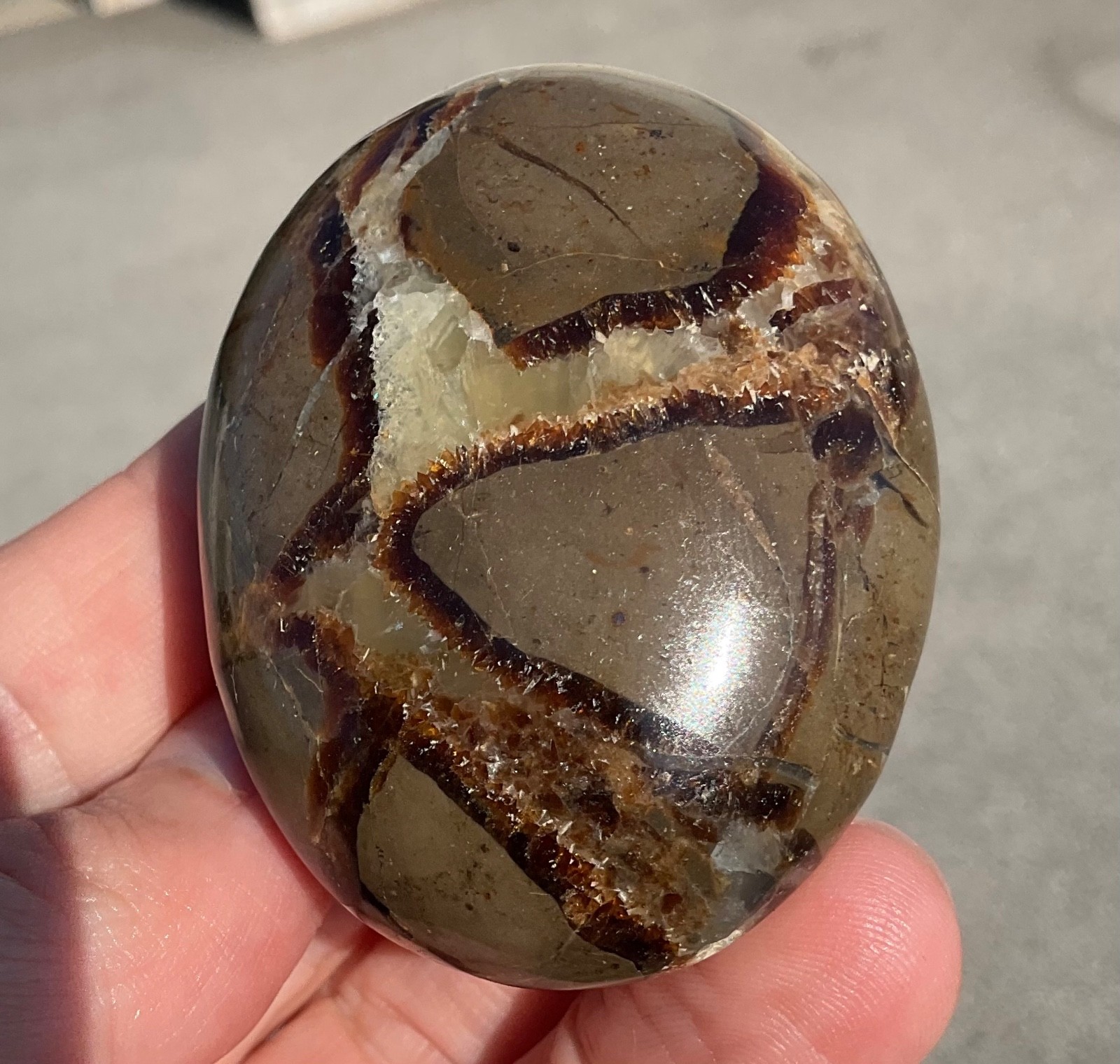 118g Polished Septarian Palmstone Dragon Egg Geode Fossil Worry Stone