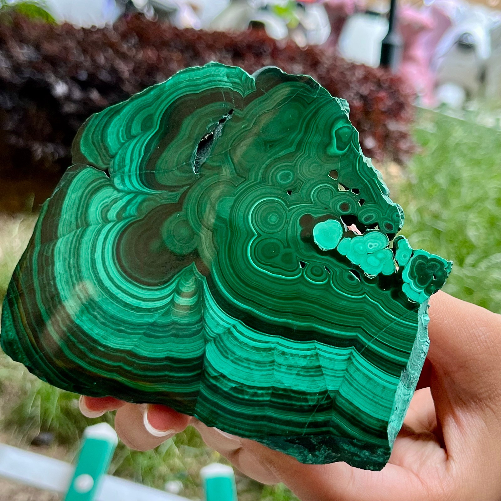 525 g Malachite Polished Slab Green Banded Agate Look Mineral Specimen Reiki