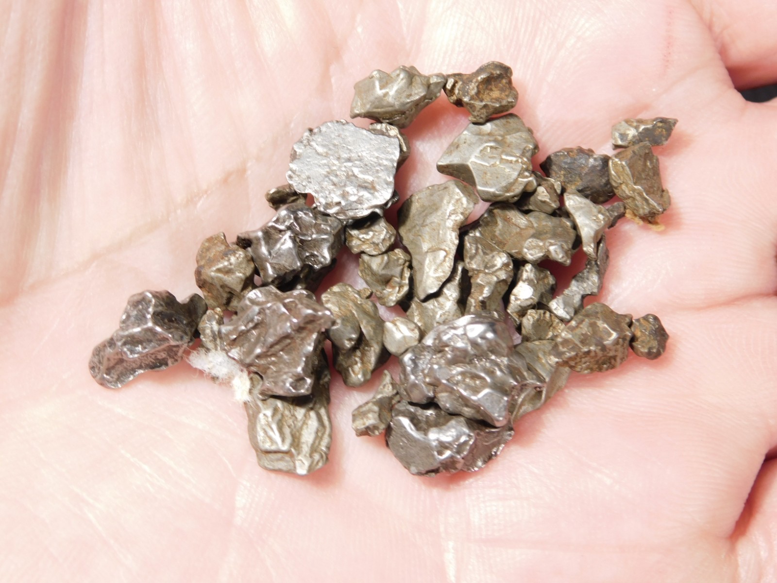 Big Lot of Little Campo Del Cielo METEORITES 100% Authentic Argentina 21.8gr
