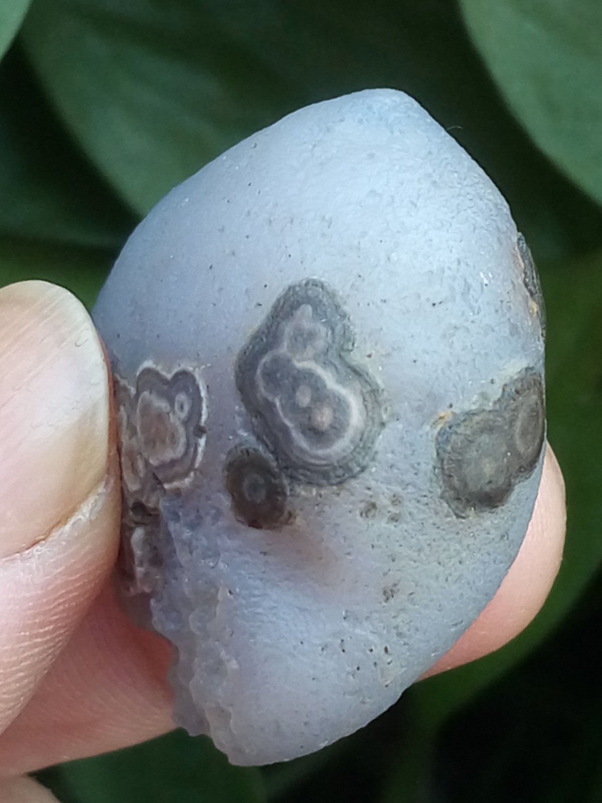 36mm Natural GoBi agate eye agate stone collection