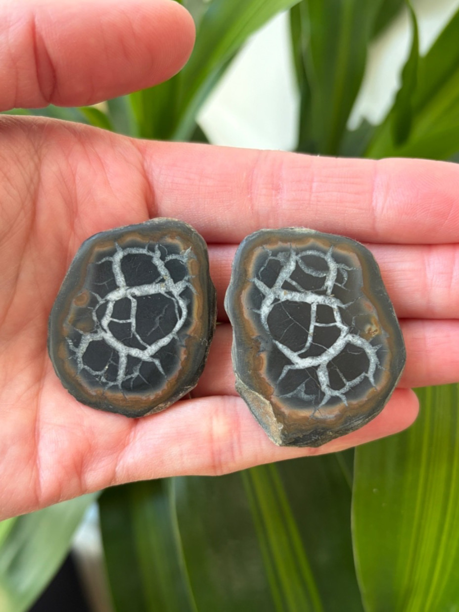 Polished Septarian Geode Matching Pair 1.65oz – Moroccan Dragon Stone Specimen