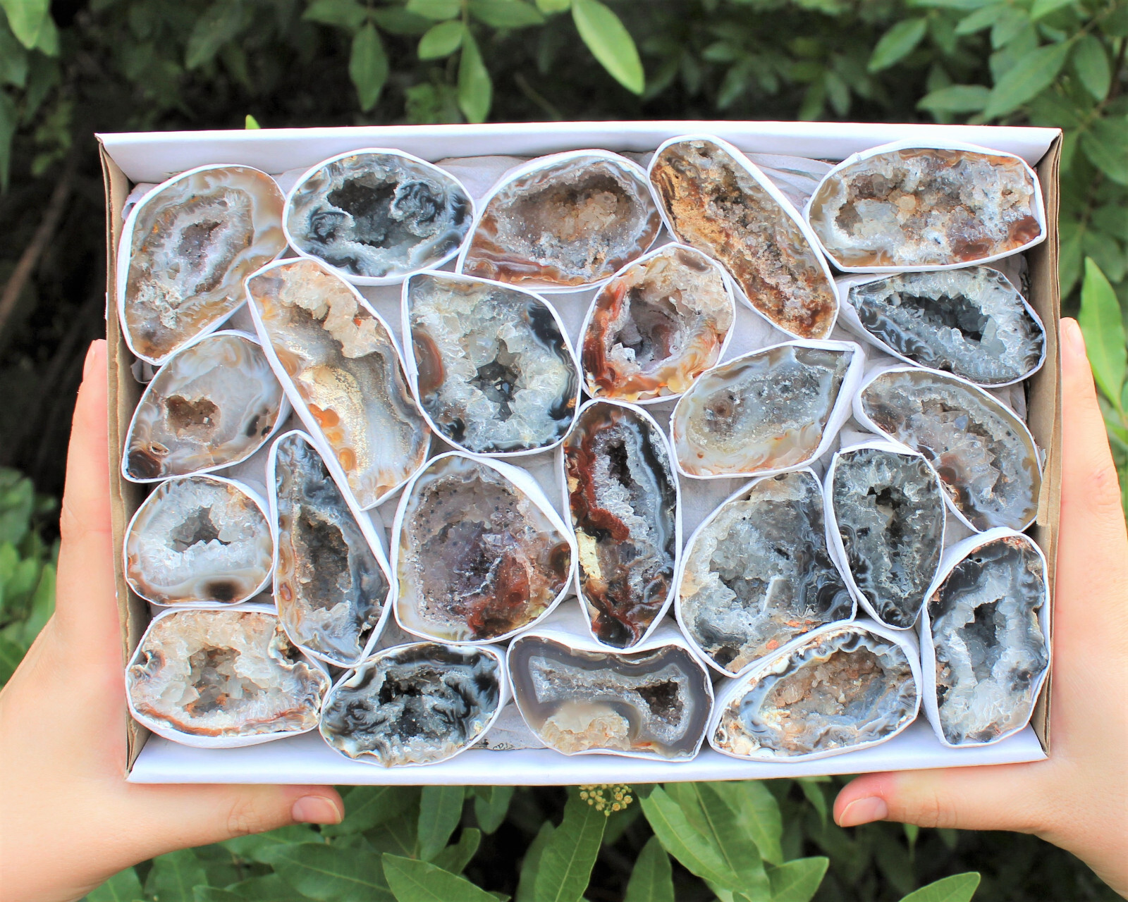 Bulk Large Oco Agate Geodes 1/4 lb Lot, Natural Crystal Druzy Halves (4 oz)