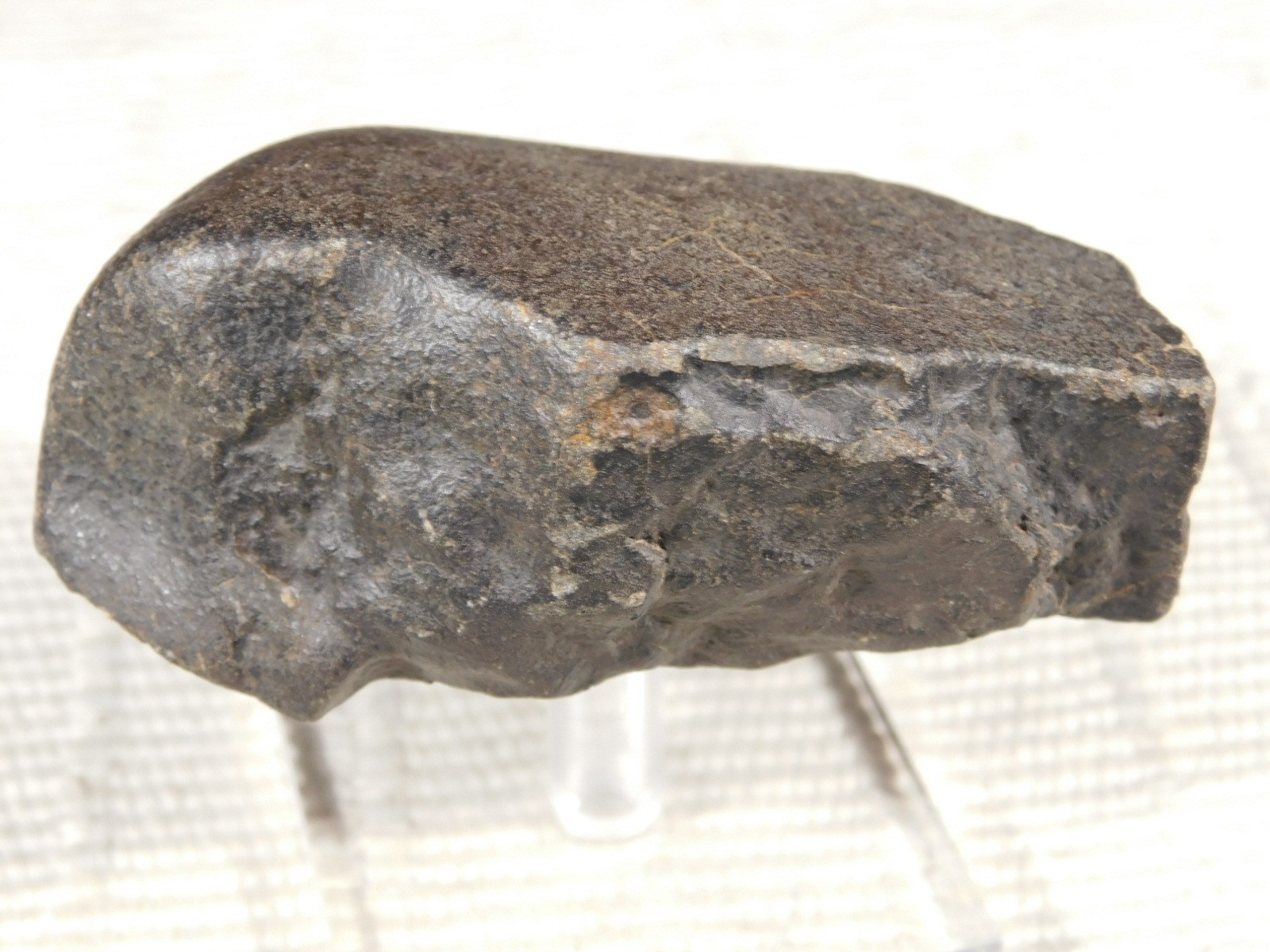 wOw! Larger! Stony METEORITE with DARK Silky Fusion Crust! FELL in Libya 219gr