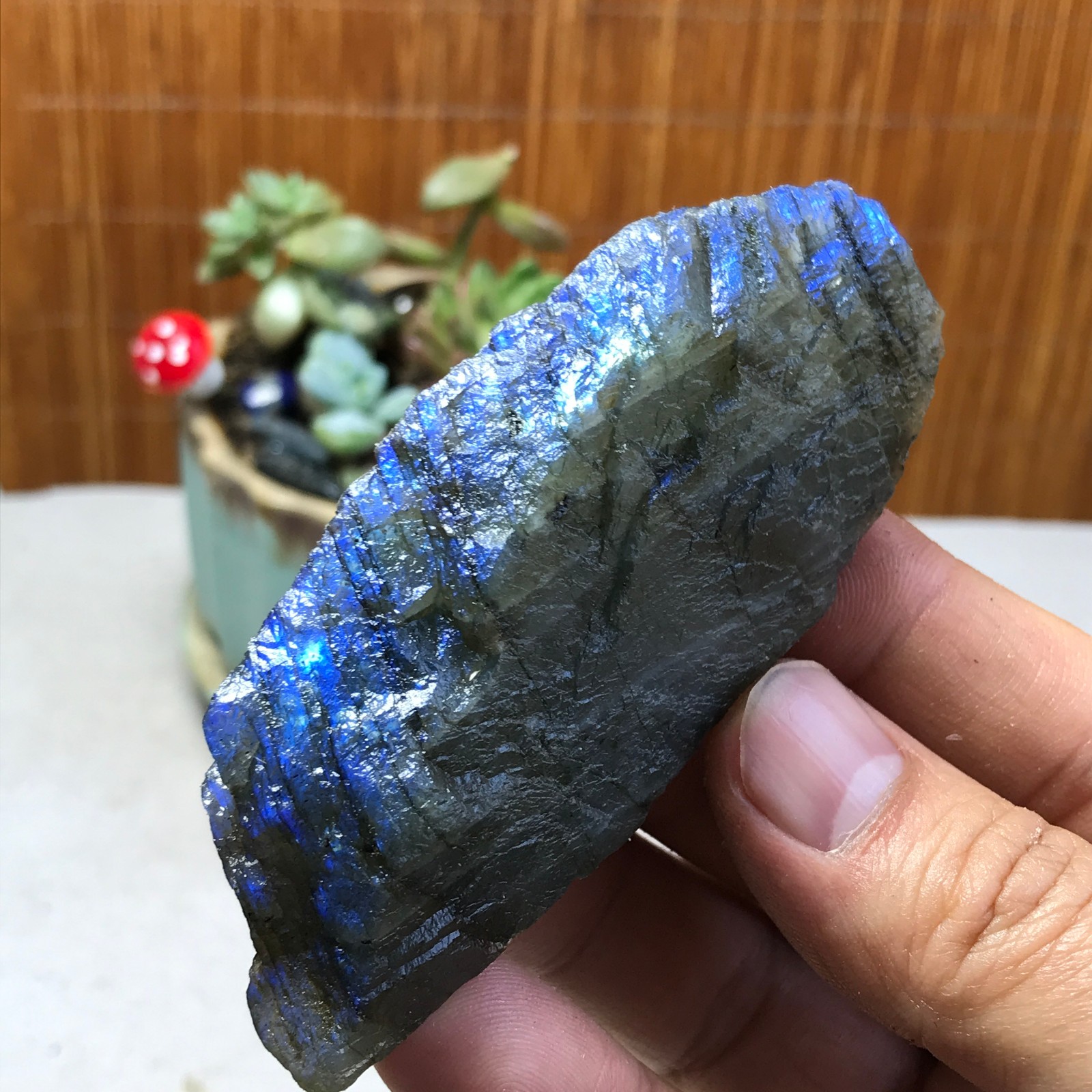 93-38-21mm Natural Labradorite Crystal gemstone Rough Mineral Specimen A5397