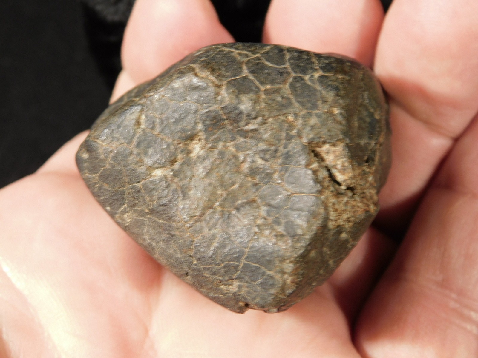 H6 Stony METEORITE Regmaglypts DARK Fusion Crust and Contraction CRACKS! 155gr