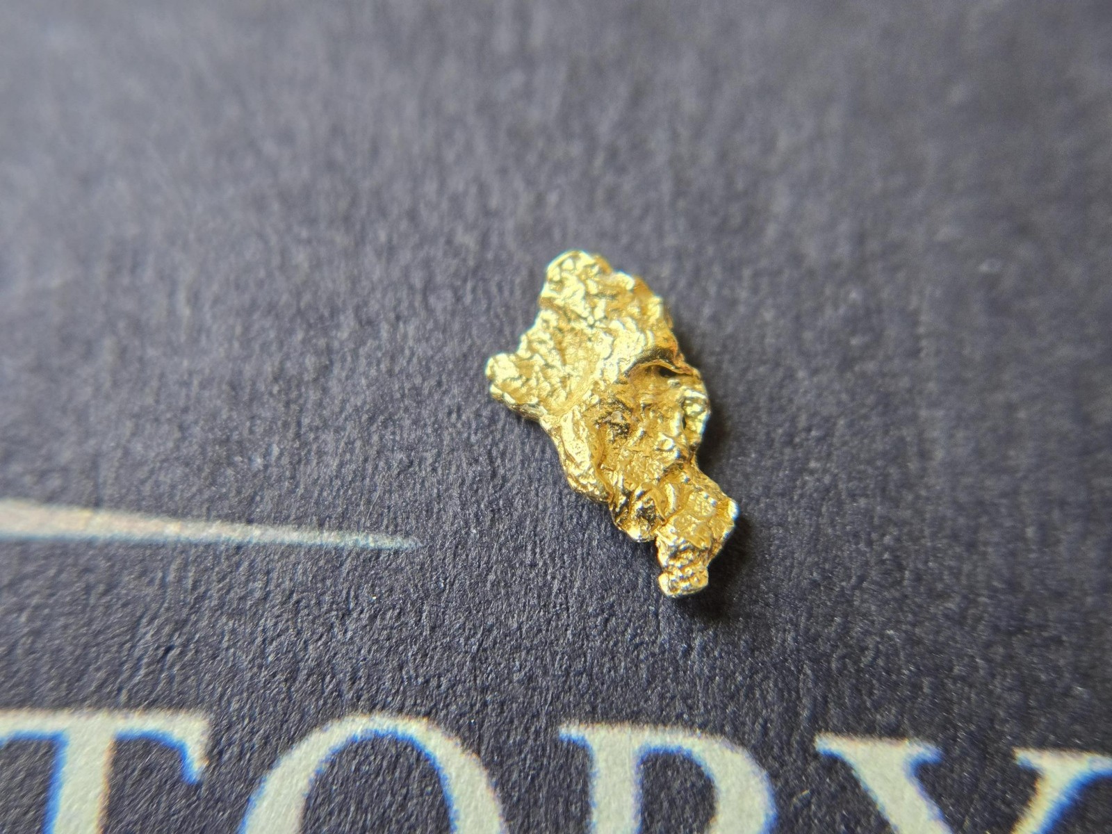 Crystalline Alaska Gold Nugget 0.262g Natural Placer Gold Display Specimen