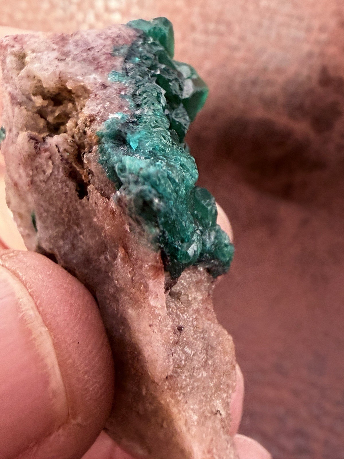 Emerald Green Dioptase Crystal Cluster from the Congo in Africa 22.6 g.