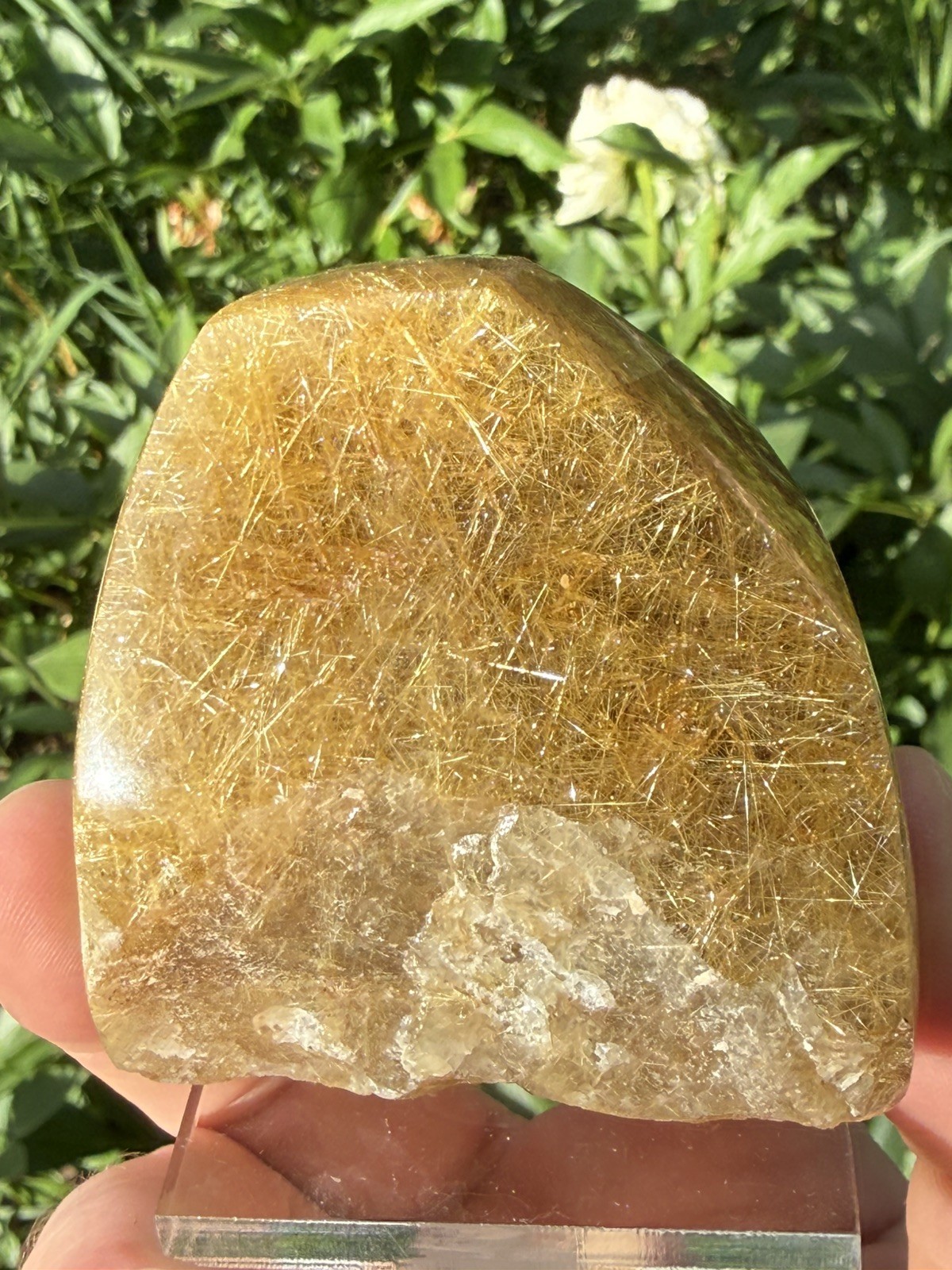 Golden Rutilated Included Quartz Freeform Polished Brazilian 6cm- 283g- ID68