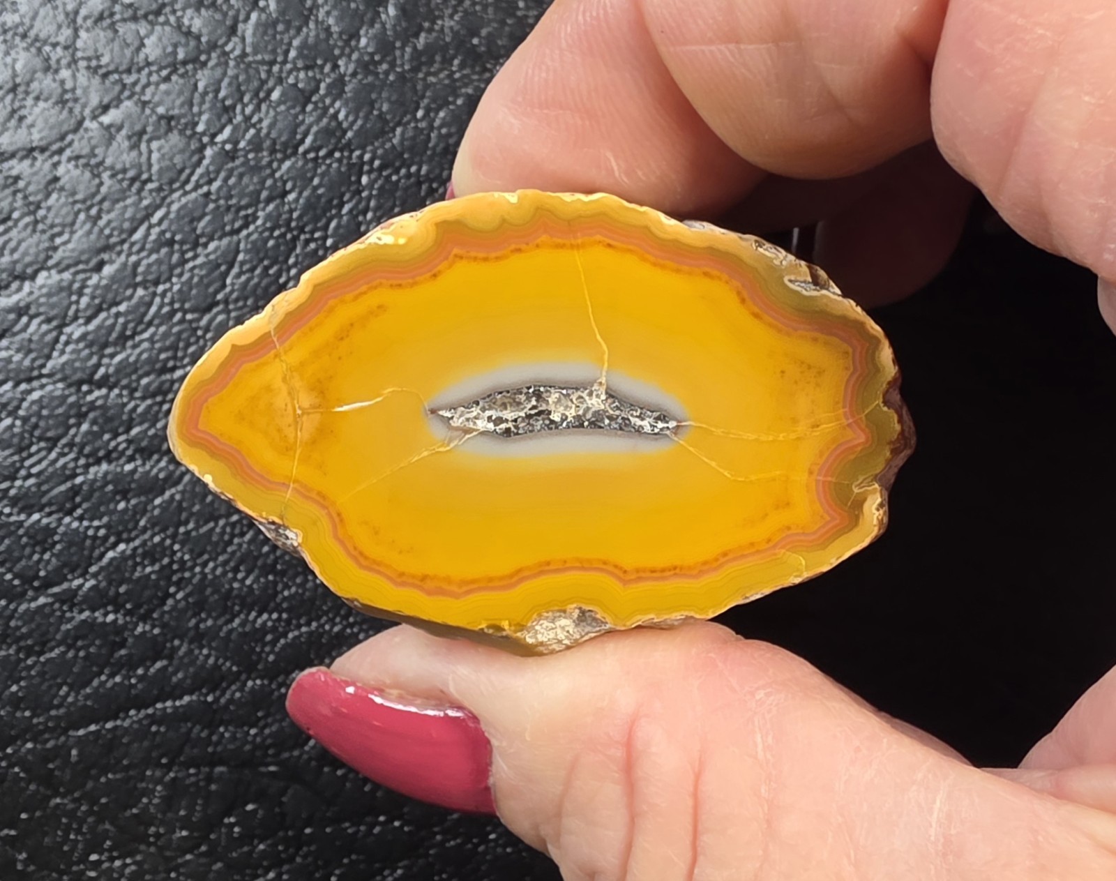 2 Kentucky Agate Display Specimens-Yellow/orange and Maroon Polished Face # S-62