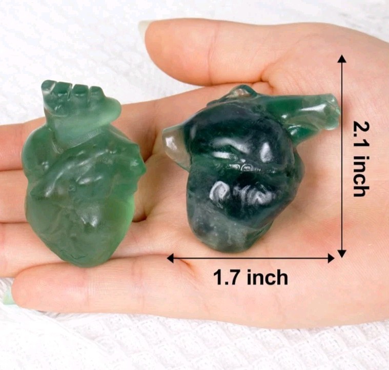 Anatomical Green Flourite Carved Human Heart Father’s Day Birthday Healing Gift