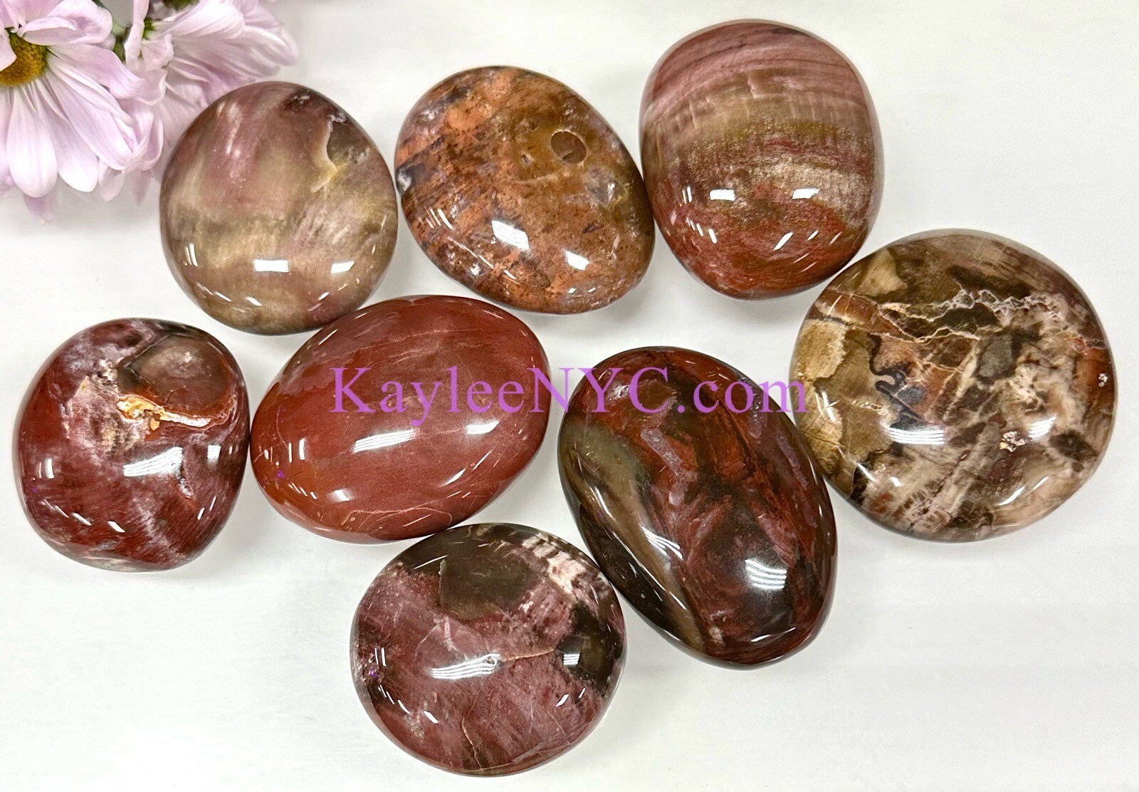 Wholesale Lot 2 Lbs Natural Petrified Wood Palm Stone Crystal Healing