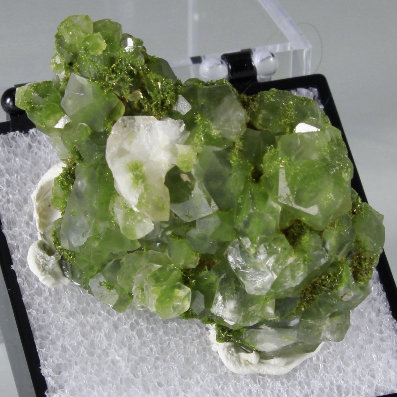 Top Quality “Fairy Forest” EPIDOTE & QUARTZ Cluster – Hakkari, Turkey