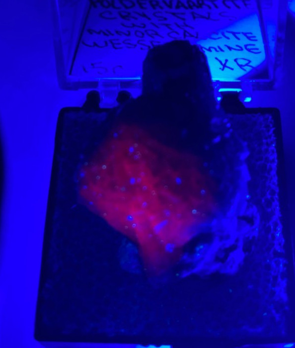 Exquisite VERY Rare Poldervaartite (Olmiite variety) & minor Calcite. S.A.