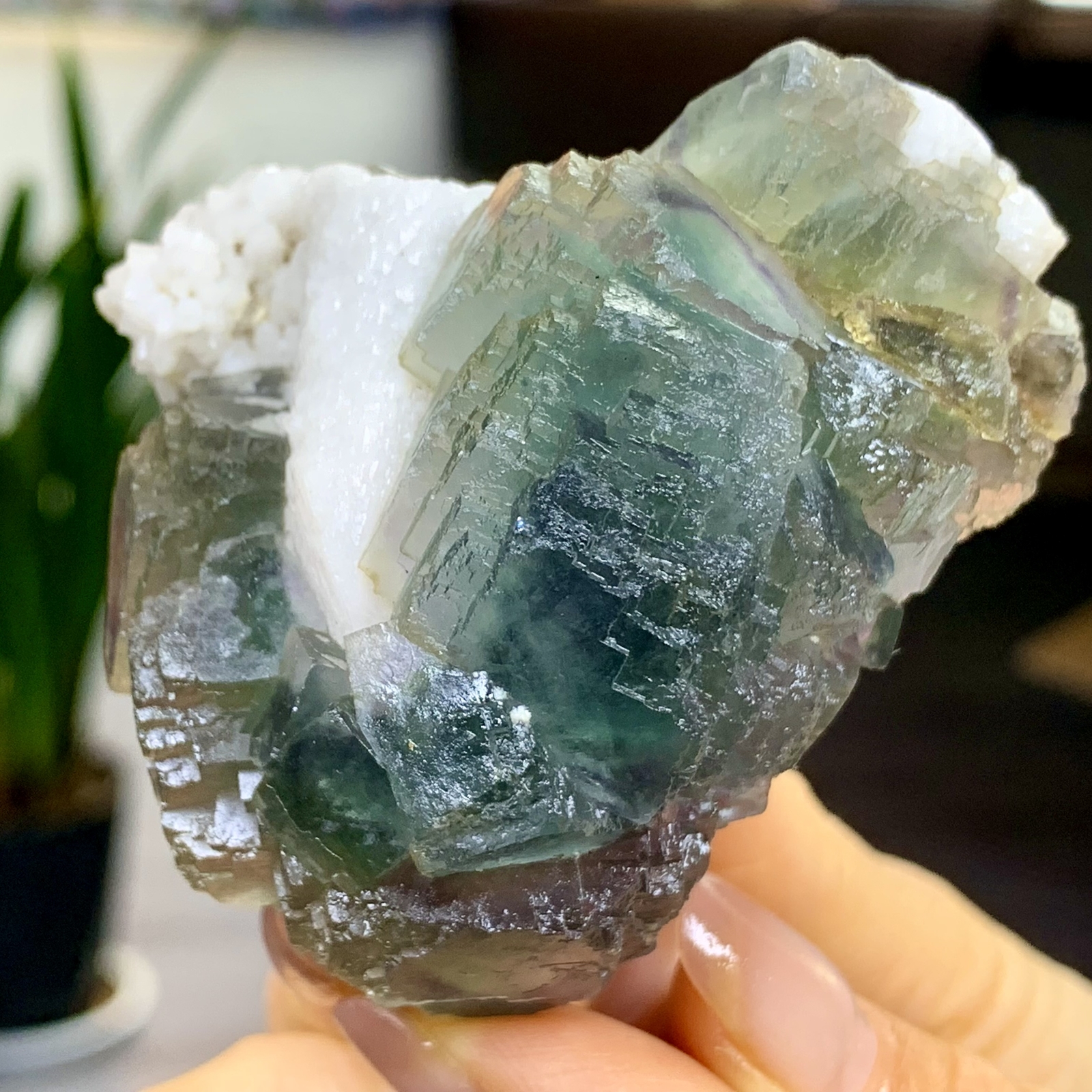 197G Rare transparent blue green cubic fluorite mineral crystal sample