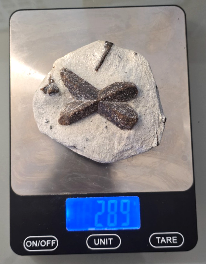 Fairy Cross Staurolite Mineral Specimen in Display Box Open Box INVKE187