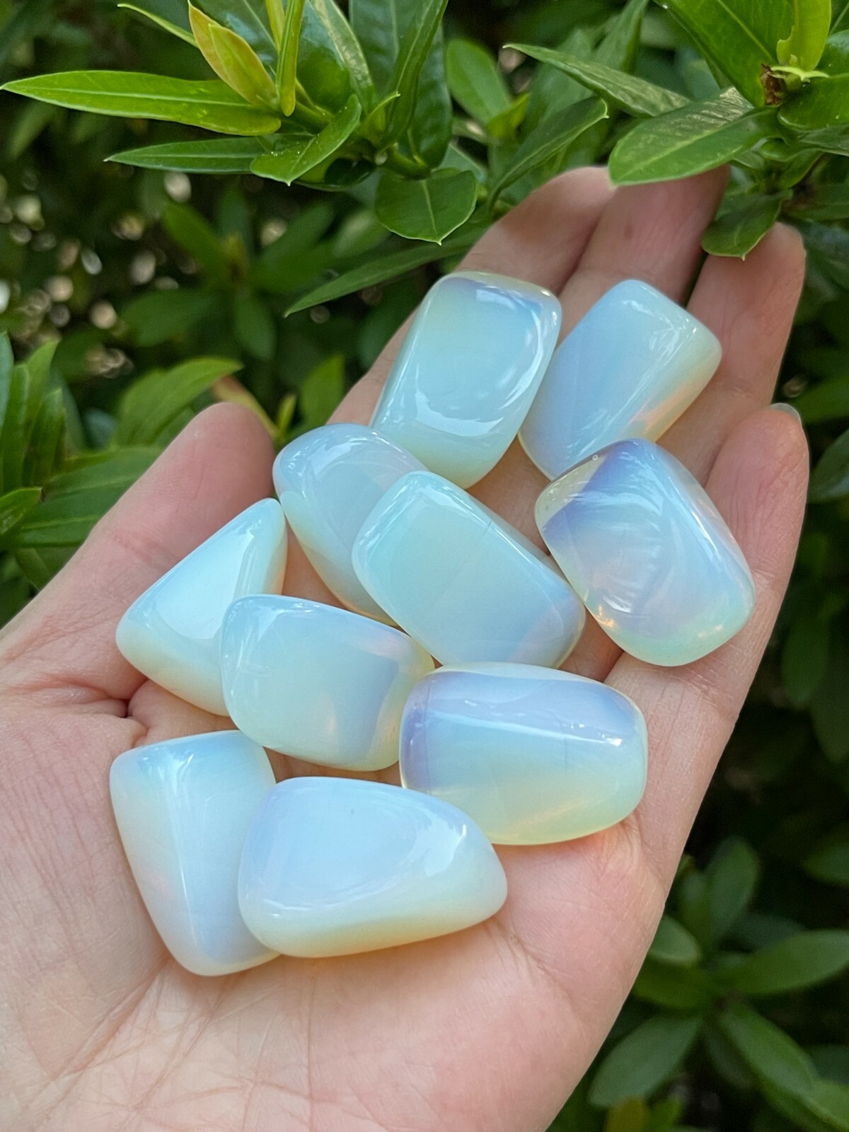 Grade A++ Opalite Tumbled Stones, 0.85-1.25 Inches Tumbled Opalite,Wholesale Lot