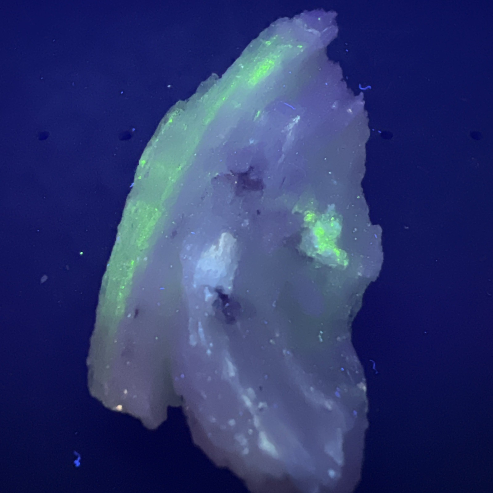 Fluorescent White Gypsum Selenite Buena Tierra Mine, Santa Eulalia, Mex. 18 g.
