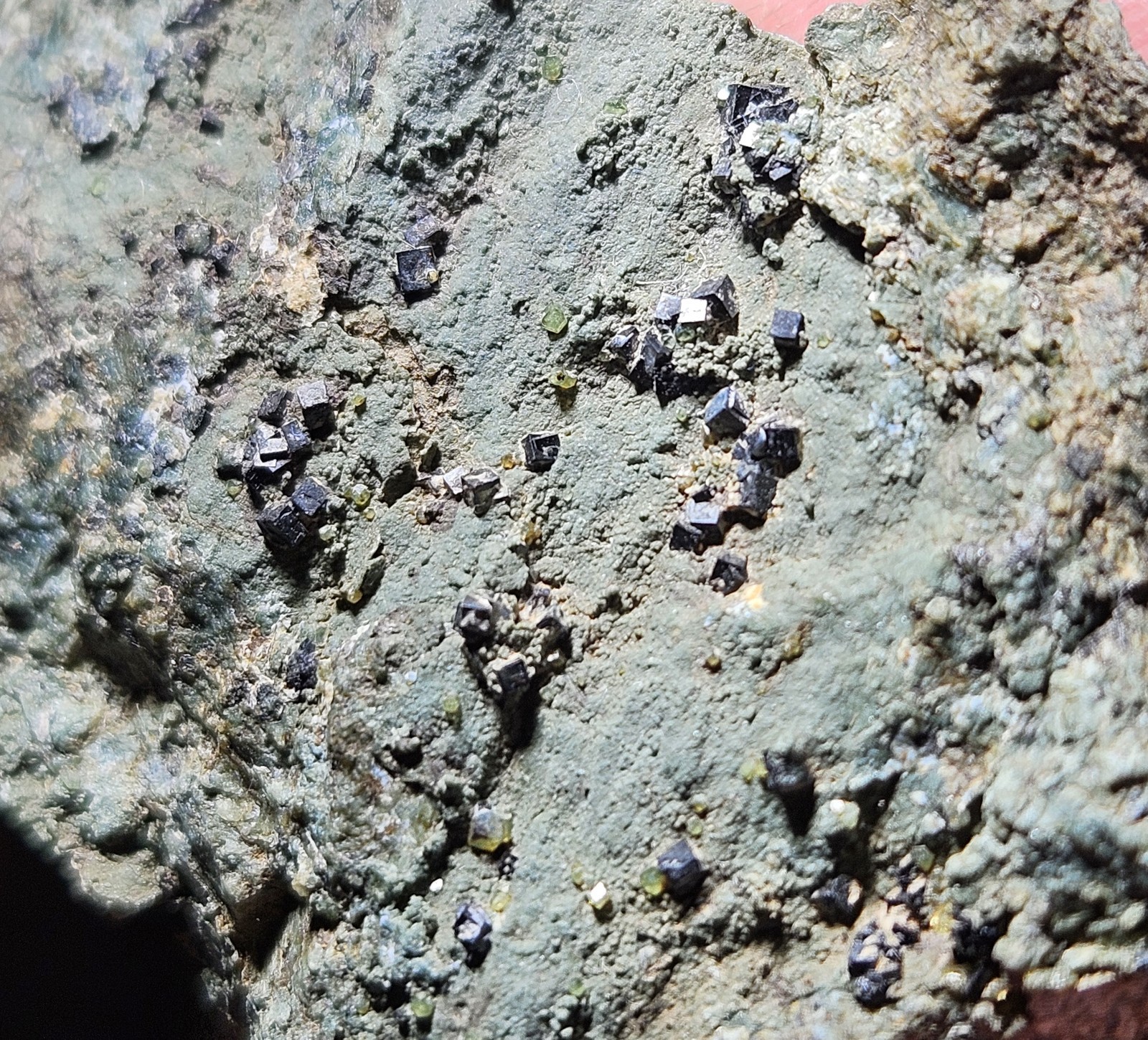 Cubic Magnetite Rare Form San Benito County California Mineral Specimen