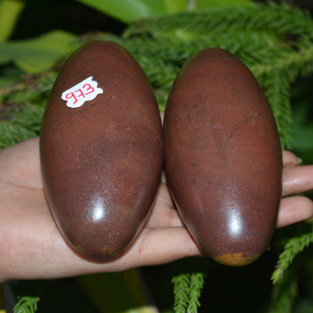 4.5″,4.5″Shiva Lingam Stone Narmada River India Special Rare Gorgeous Lingam~973