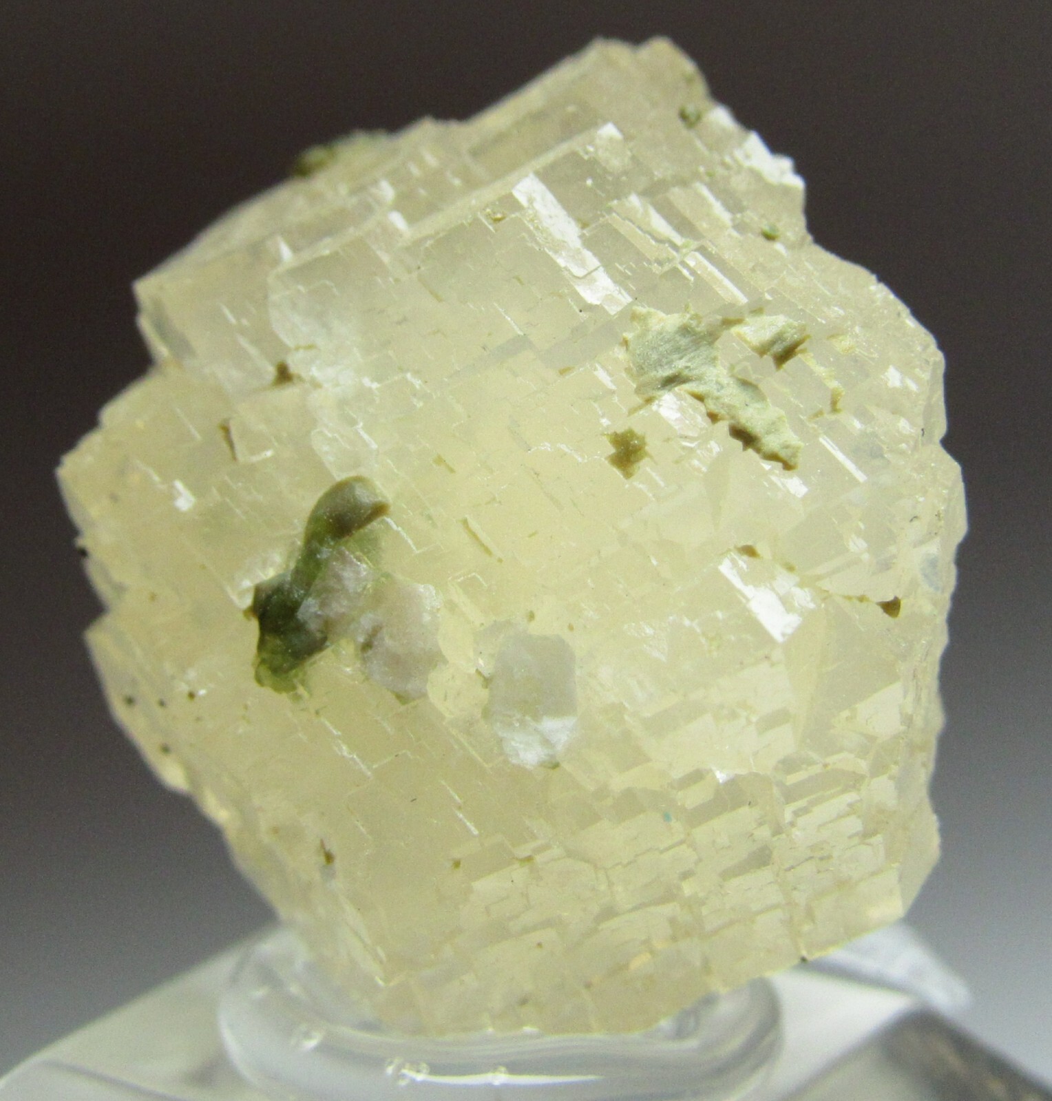 PHENOMENAL GEOMETRIC GLASSY GROSSULAR GARNET CRYSTAL!!! JEFFREY MINE CANADA