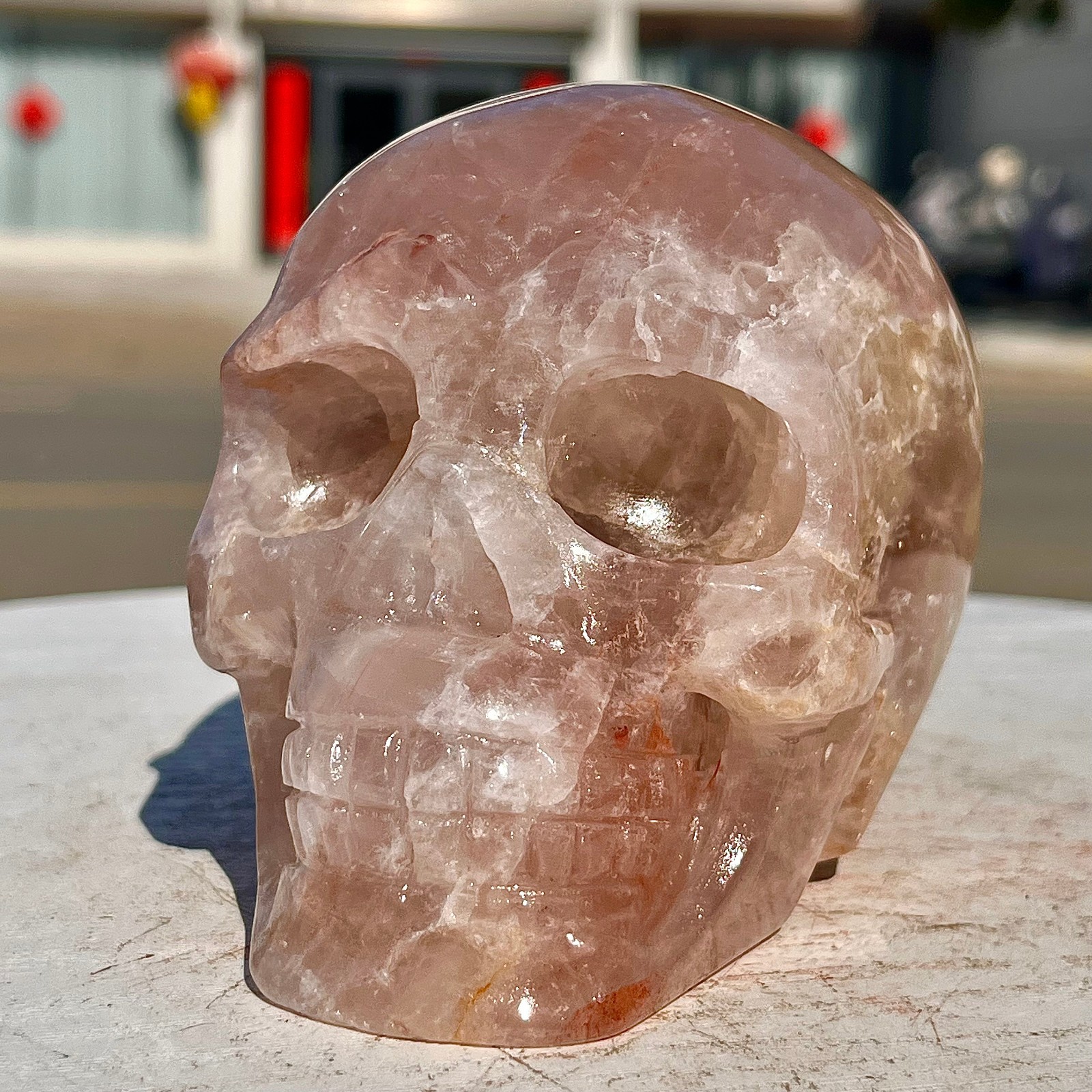 2.71LB Red Gum Flower Skull Carving | Handmade Carving | Healing Energy