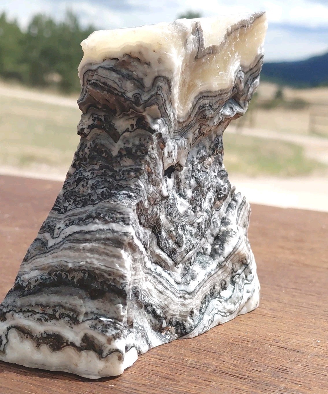 Zebra Calcite Self-Standing Display Band Dendrite 3 3/4×4×1 1/4UVReactive 1/2 Lb