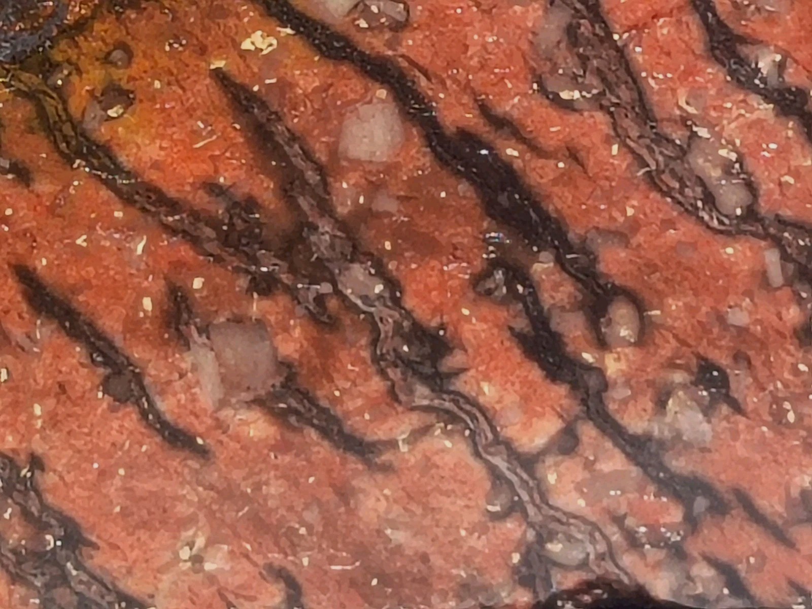 Shepard’s Fire Specular Hematite Rhyolite Porphyry 4lb 12.7oz polished Missouri