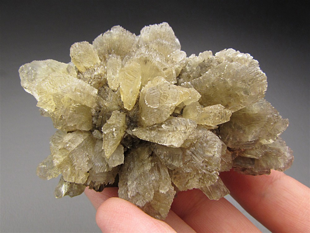 Selenite, Vienna, Austria
