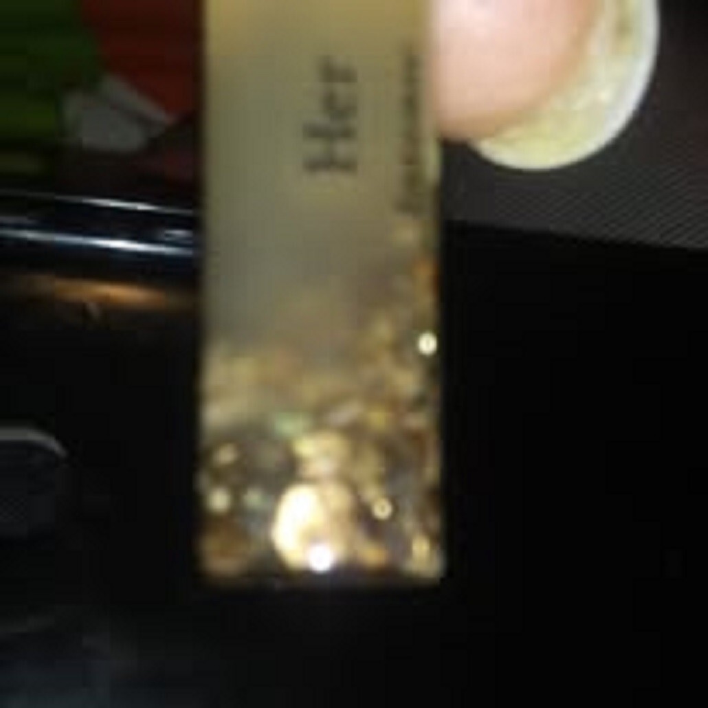 BEST: Gold Paydirt 5 Gallon 100% Unsearched: The picture is from 1/2 cup of dirt