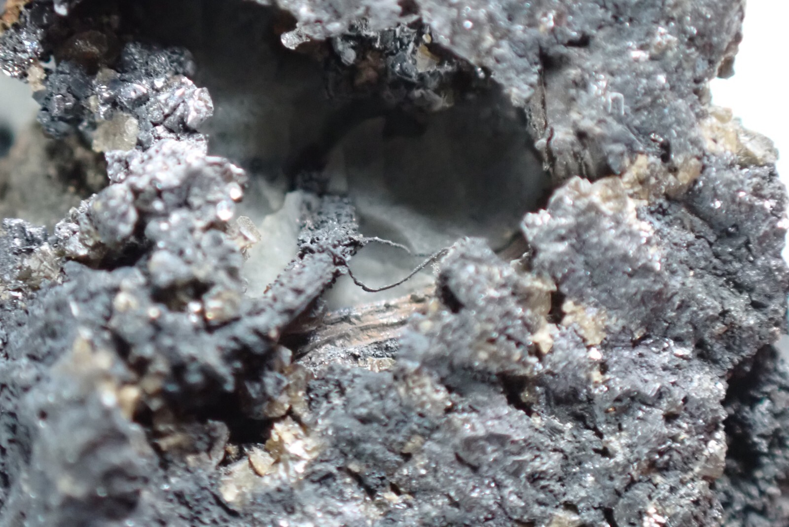 SILVER * WIRES ON CALCITE + GALENA * RARE LOCALITY !!! Trebsko, CZECH REPUBLIC
